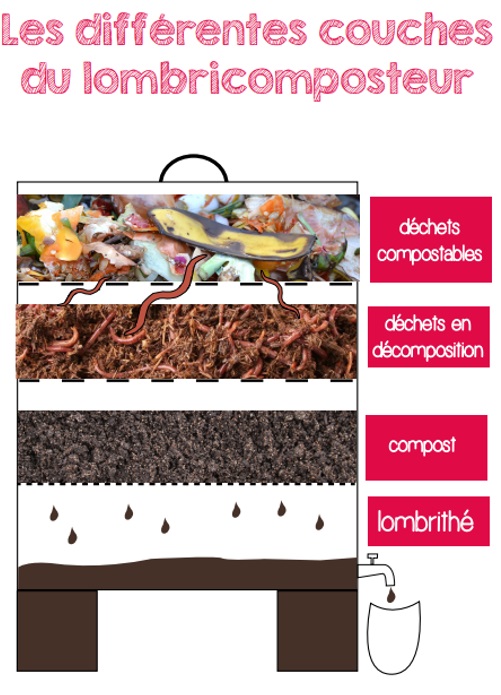 les différentes couches d'un lombricomposteur